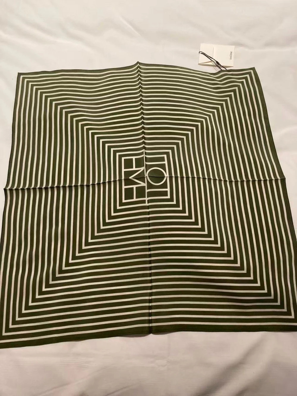 Toteme Geometric Logo Scarf in Green & White NWT